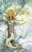 shadowscapes king of pentacles