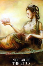 kuan yin oracle nectar of the lotus