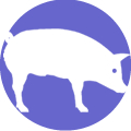 zodiaco chino cerdo
