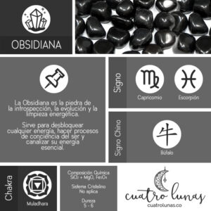 Infografia Obsidiana