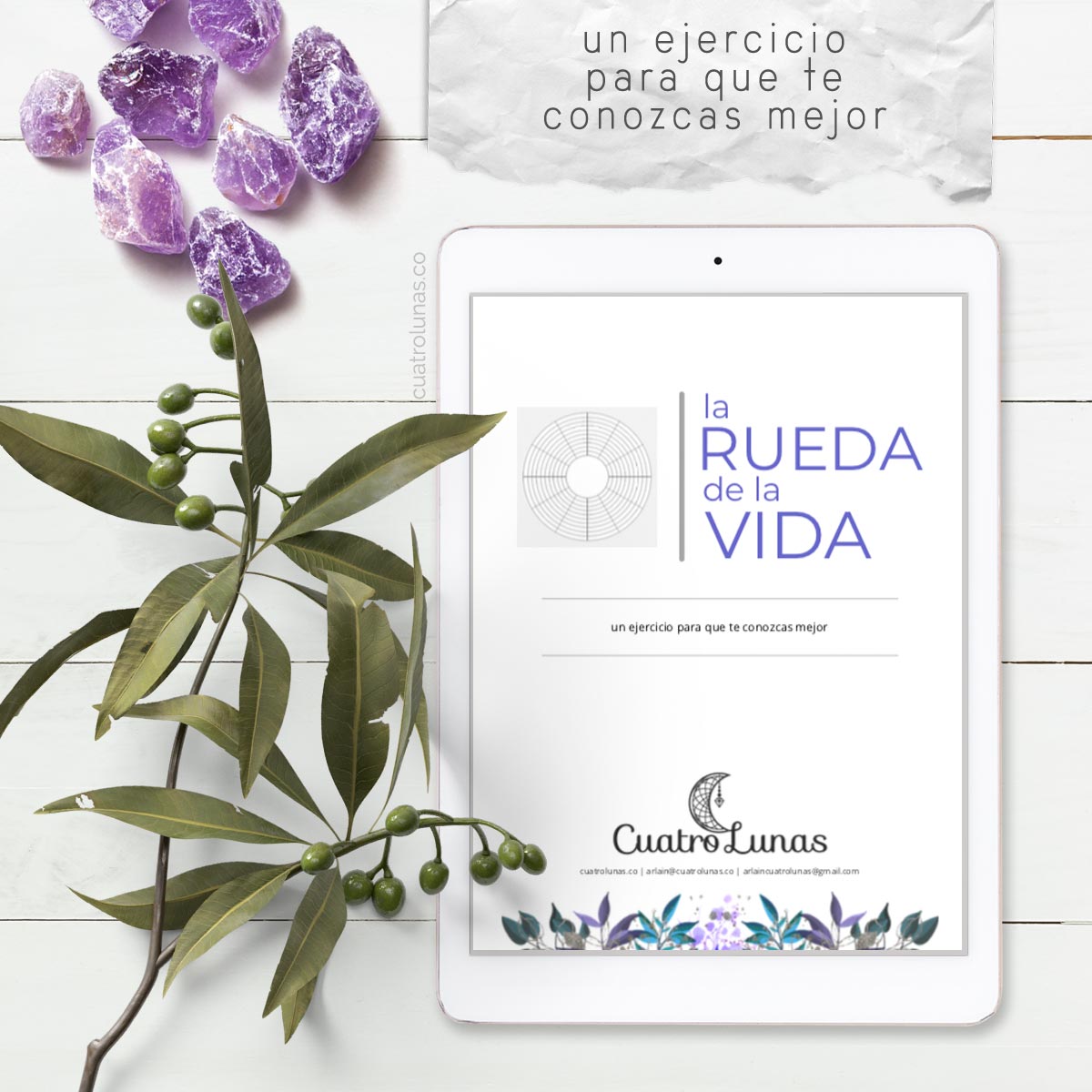 un ejercicio para que te conozcas mejor La Rueda de la Vida